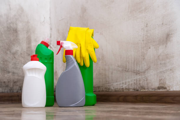 Reliable West Union, OH Mold Prevention & Removal  Solutions